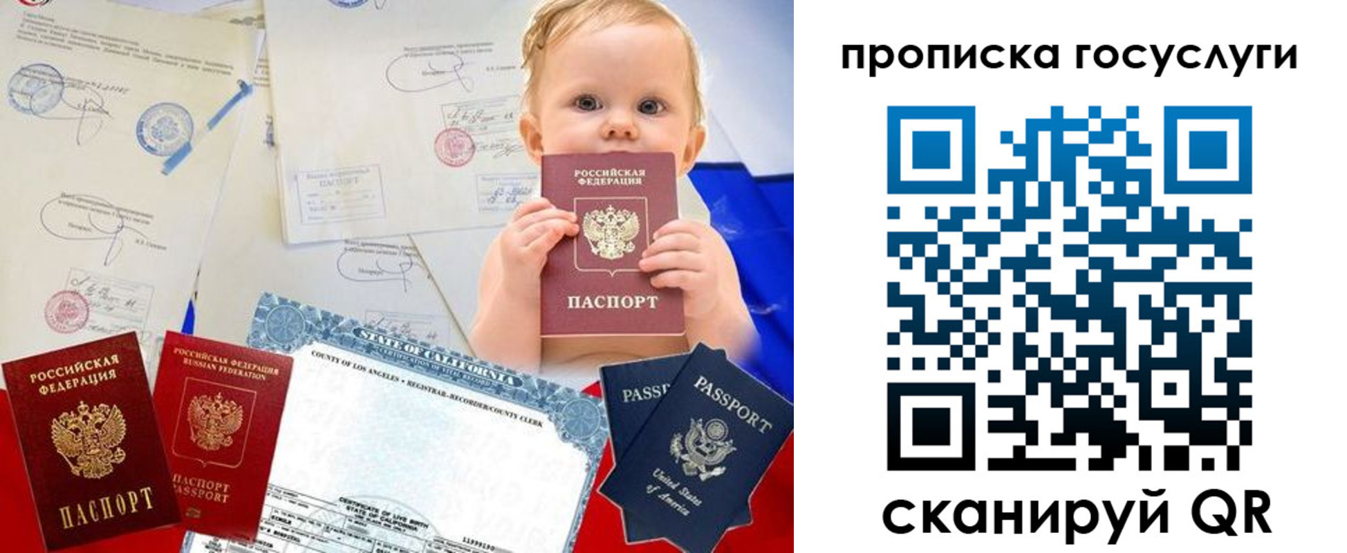 прописка поиск в Калуге